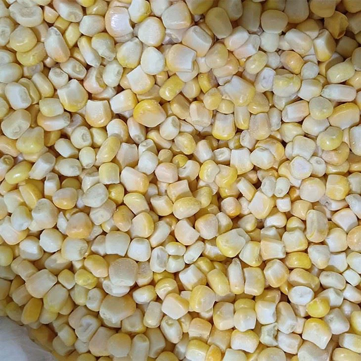 IQF Frozen Corn