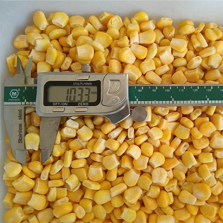 IQF Frozen Corn Kernels
