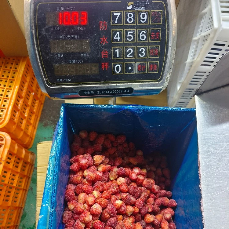 ripe strawberries suitable for frozen strawberry production