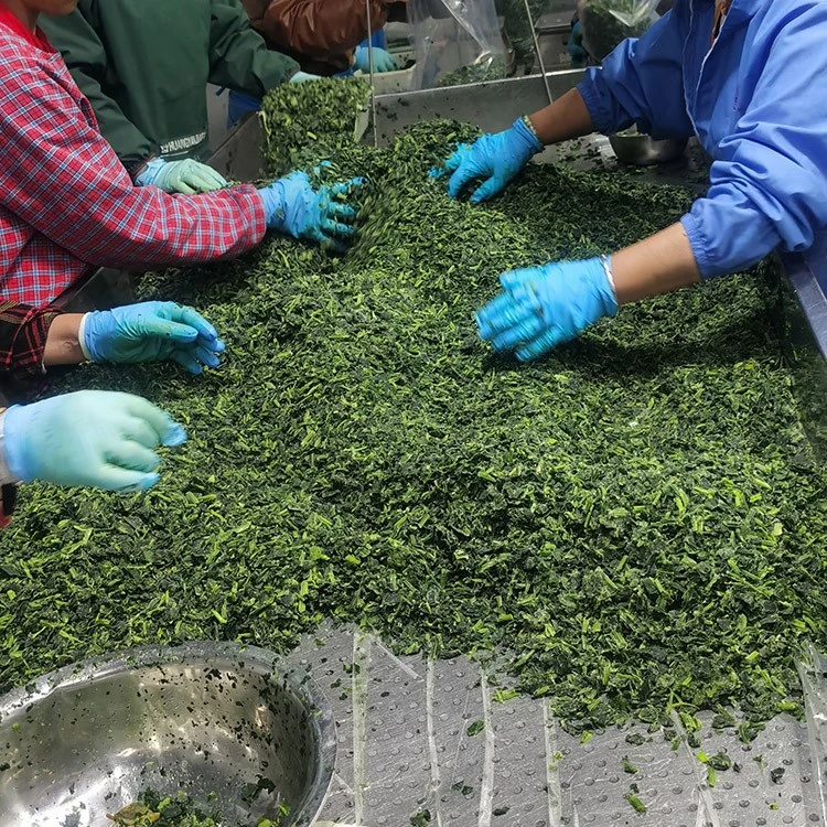 Drained frozen spinach prepared for dips dumplings and bakery fillings