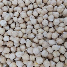 Jäädytetyt kikherneet