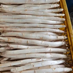 Jäädytetty valkoinen parsa