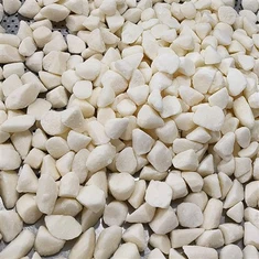 Jäädytetyt jamssipalat